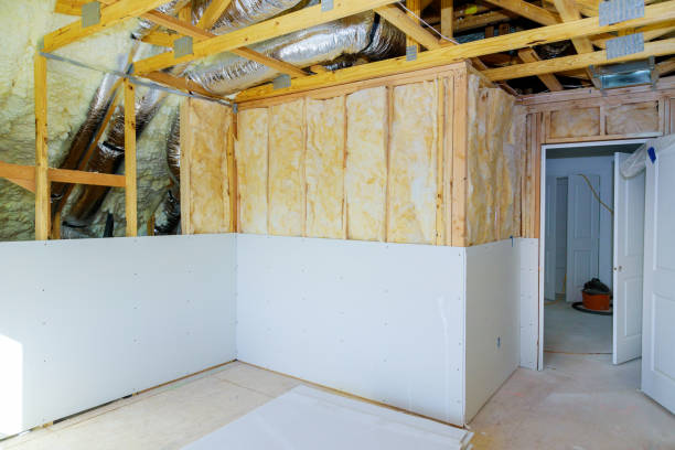 Best Spray Foam Insulation in Ricardo, TX