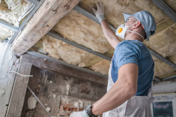 Best Insulation Maintenance and Repair in Ricardo, TX