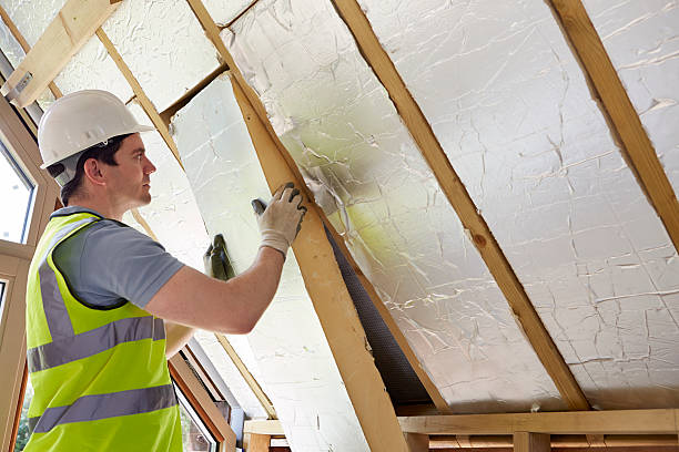 Best Cellulose Insulation in Ricardo, TX