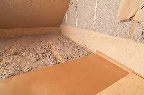 Best Commercial Insulation in Ricardo, TX