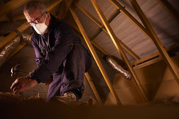 Best Specialized Insulation Services in Ricardo, TX