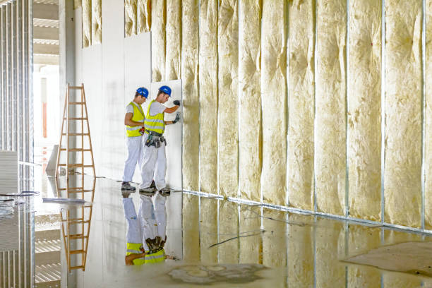 Best Eco-Friendly Insulation in Ricardo, TX